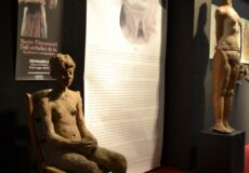 Mostra Ilario Fioravanti - Pennabilli 2016