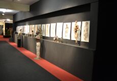 Mostra Ilario Fioravanti - Pennabilli 2016